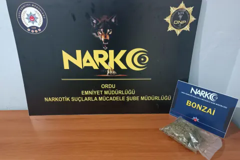 Ordu Fatsa'da uyuşturucu operasyonunda 1 tutuklama: 49 gram sentetik madde ele geçirildi