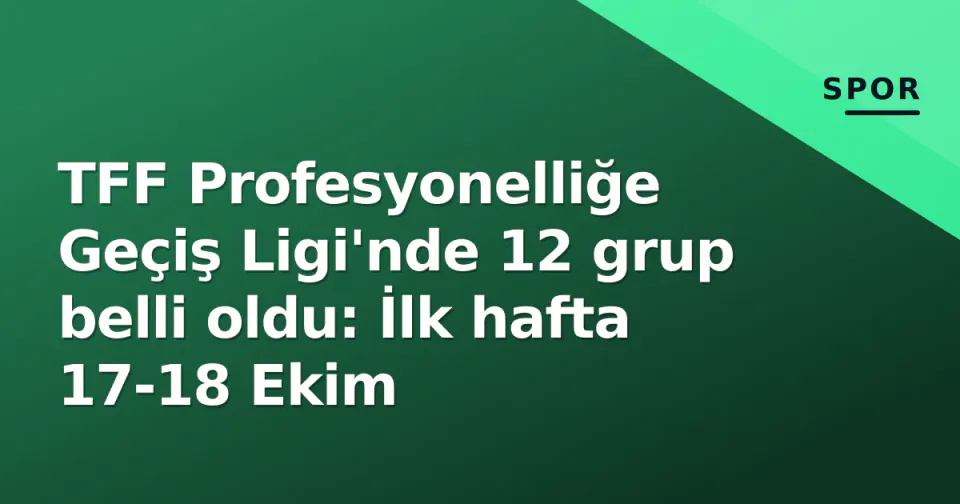 TFF Profesyonelliğe Geçiş Ligi'nde 12 grup belli oldu: İlk hafta 17-18 Ekim görseli