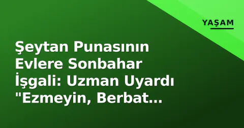 Şeytan Punasının Evlere Sonbahar İşgali: Uzman Uyardı "Ezmeyin, Berbat Kokar"