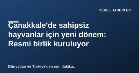 Çanakkale'de sahipsiz hayvanlar için yeni dönem: Resmi birlik kuruluyor