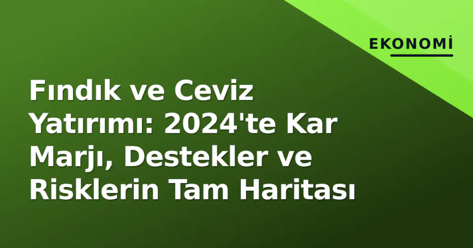 Fındık ve Ceviz Yatırımı: 2024'te Kar Marjı, Destekler ve Risklerin Tam Haritası görseli