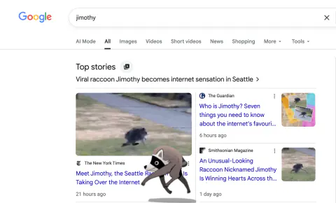 Google'dan Sürpriz Hamle: Viral Rakun Jimothy Ekranlara Konuk Oldu