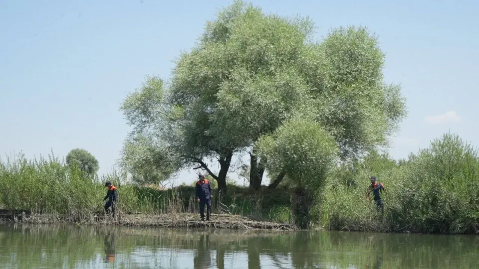 Muş'ta Murat Nehri'ne düşen 10 yaşındaki Berat için seferberlik: 126 personel sahada görseli