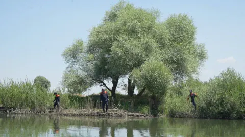 Muş'ta Murat Nehri'ne düşen 10 yaşındaki Berat için seferberlik: 126 personel sahada
