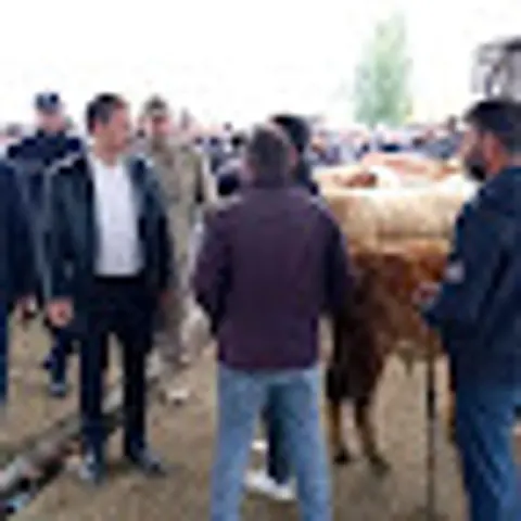 Hanak Kaymakamı Soner Erol canlı hayvan pazarını ziyaret etti, üreticilerle görüştü