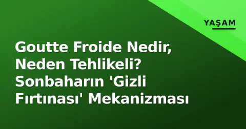 Goutte Froide Nedir, Neden Tehlikeli? Sonbaharın 'Gizli Fırtınası' Mekanizması