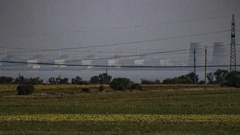 Zaporijya Nükleer Güç Santrali'nde Kritik Güvenlik Riski ve IAEA Denetimleri