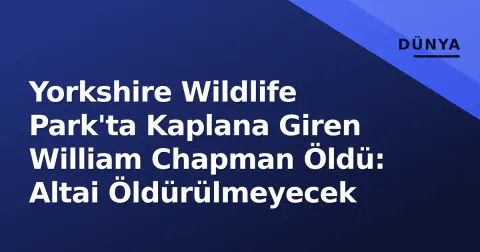 Yorkshire Wildlife Park'ta Kaplana Giren William Chapman Öldü: Altai Öldürülmeyecek