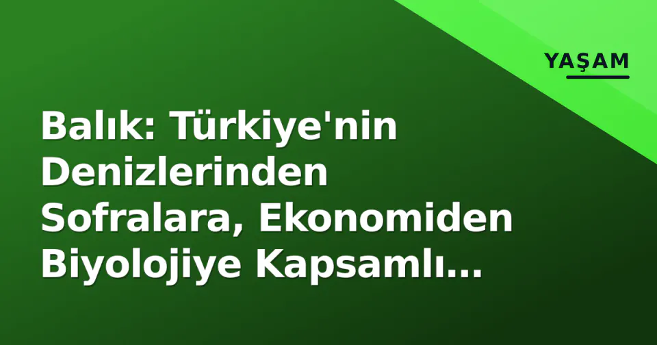 Balık: Türkiye'nin Denizlerinden Sofralara, Ekonomiden Biyolojiye Kapsamlı Rehber görseli