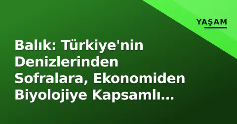 Balık: Türkiye'nin Denizlerinden Sofralara, Ekonomiden Biyolojiye Kapsamlı Rehber