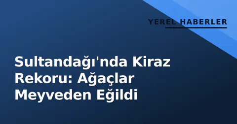Sultandağı'nda Kiraz Rekoru: Ağaçlar Meyveden Eğildi