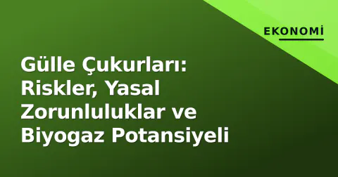 Gülle Çukurları: Riskler, Yasal Zorunluluklar ve Biyogaz Potansiyeli