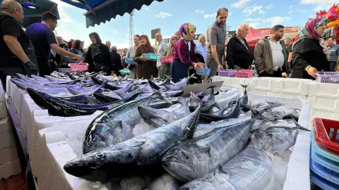 Bolu'da palamut sezonu açıldı: Balıkçılarda yoğun talep, kuyruklar oluştu