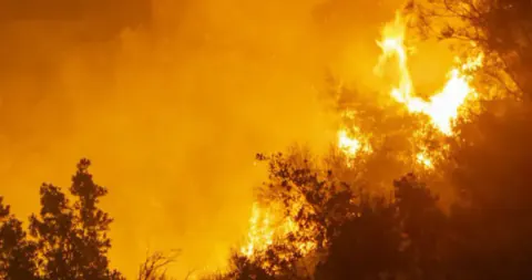 İtalya'nın Güneyi Alevlere Teslim: Sicilya ve Puglia'da Yangın Alarmı