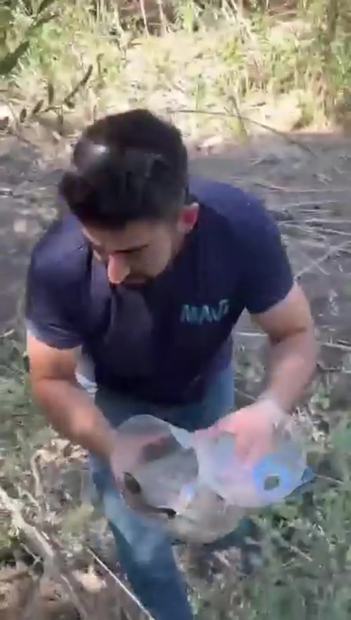 Sivas'ta plastik su bidonuna sıkışan kaplumbağa ekiplerce kurtarıldı Sivas'ta plastik su bidonuna sıkışan kaplumbağa ekiplerce kurtarıldı