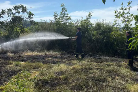 Yalova Termal'de Akköy Şehitliği önünde korkutan yangın