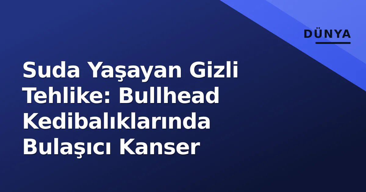 Suda Yaşayan Gizli Tehlike: Bullhead Kedibalıklarında Bulaşıcı Kanser Suda Yaşayan Gizli Tehlike: Bullhead Kedibalıklarında Bulaşıcı Kanser