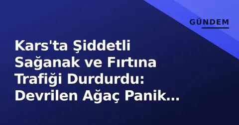 Kars'ta Şiddetli Sağanak ve Fırtına Trafiği Durdurdu: Devrilen Ağaç Panik Yarattı