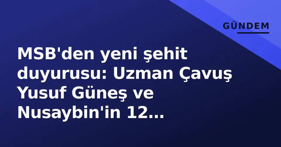 MSB'den yeni şehit duyurusu: Uzman Çavuş Yusuf Güneş ve Nusaybin'in 12 personeli anıldı görseli