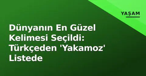 Dünyanın En Güzel Kelimesi Seçildi: Türkçeden 'Yakamoz' Listede