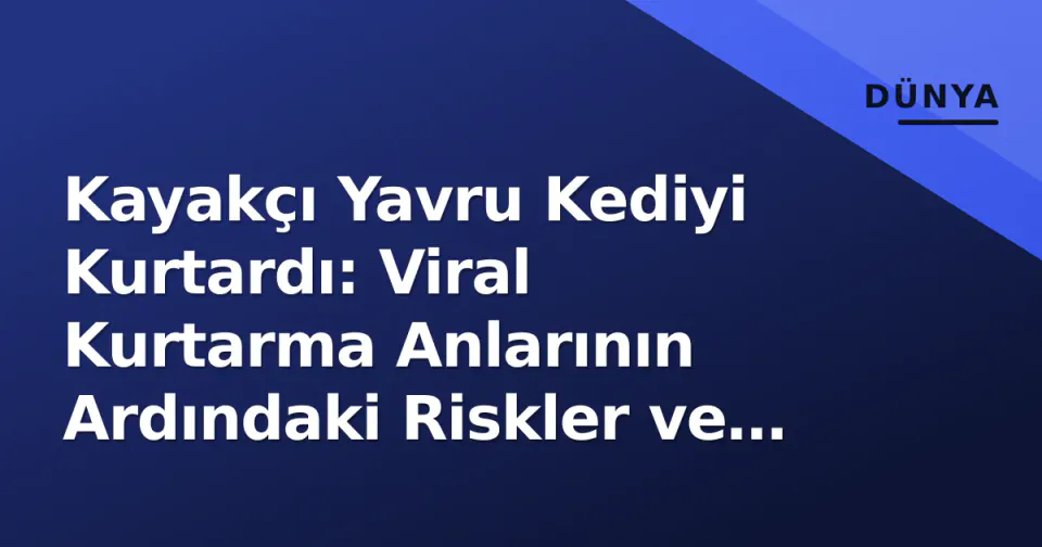 Kayakçı Yavru Kediyi Kurtardı: Viral Kurtarma Anlarının Ardındaki Riskler ve Protokoller görseli