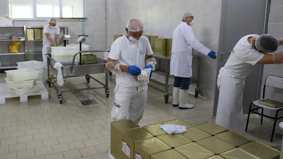 Çankırı Orta Açık Cezaevi'nde Süt İşleme Tesisi Hizmete Açıldı görseli
