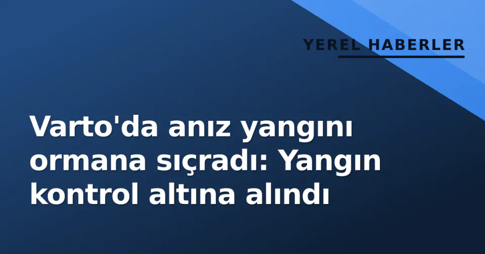 Varto'da anız yangını ormana sıçradı: Yangın kontrol altına alındı görseli