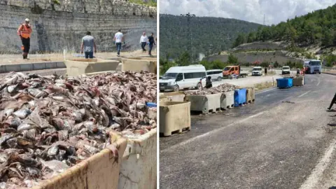 Silifke-Mut Karayolunda Balık Atığı Taşıyan Tırda Patlama: 15 Ton Atık Yola Saçıldı