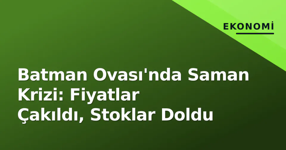 Batman Ovası'nda Saman Krizi: Fiyatlar Çakıldı, Stoklar Doldu görseli