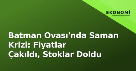 Batman Ovası'nda Saman Krizi: Fiyatlar Çakıldı, Stoklar Doldu