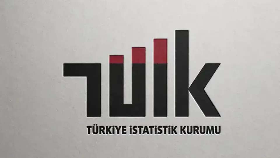 TÜİK Hizmet Üretim Endeksi Verilerini Açıkladı: Bilgi ve İletişimde Sıçrama görseli