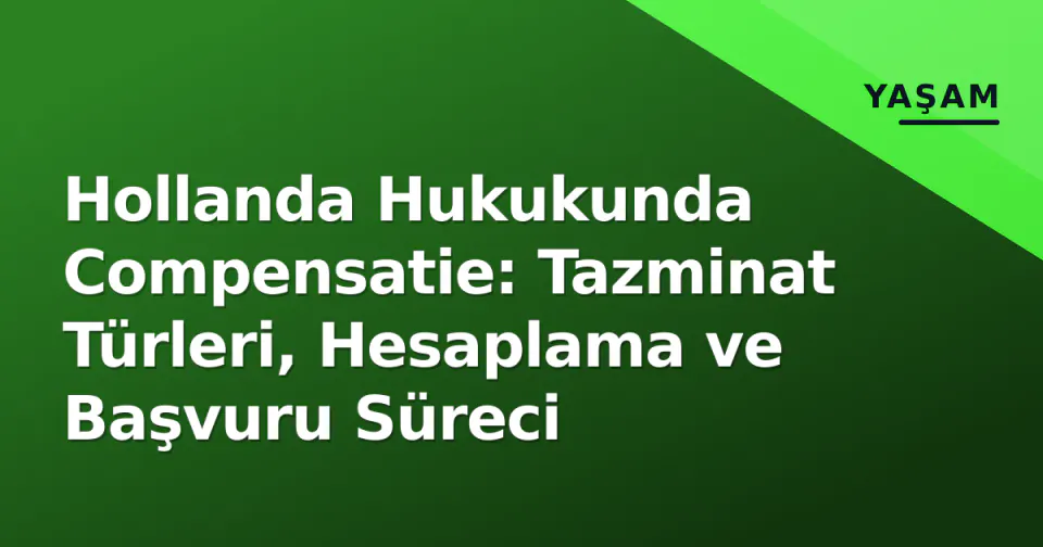 Hollanda Hukukunda Compensatie: Tazminat Türleri, Hesaplama ve Başvuru Süreci görseli