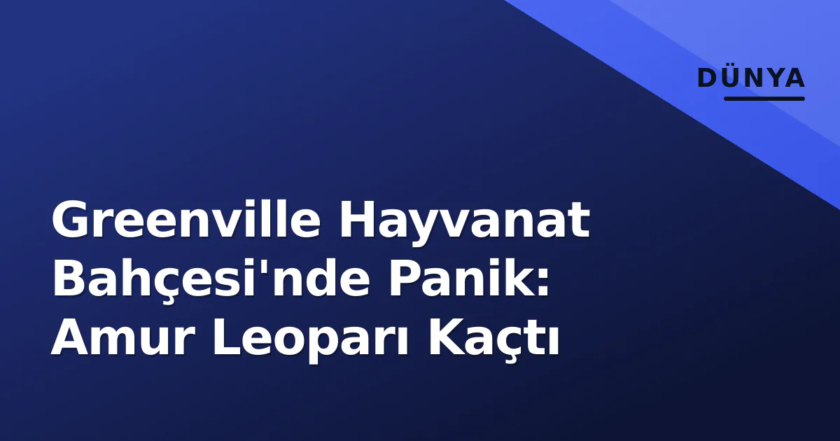 Greenville Hayvanat Bahçesi'nde Panik: Amur Leoparı Kaçtı Greenville Hayvanat Bahçesi'nde Panik: Amur Leoparı Kaçtı
