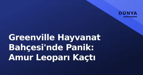 Greenville Hayvanat Bahçesi'nde Panik: Amur Leoparı Kaçtı