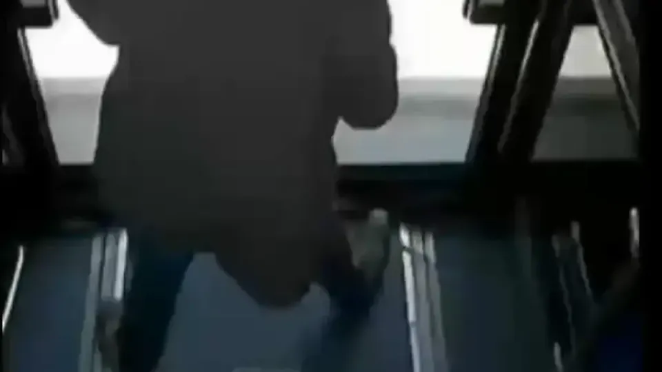 Kartal'daki Orman Cinayetinde Dijital İzler Faili Ele Verdi görseli