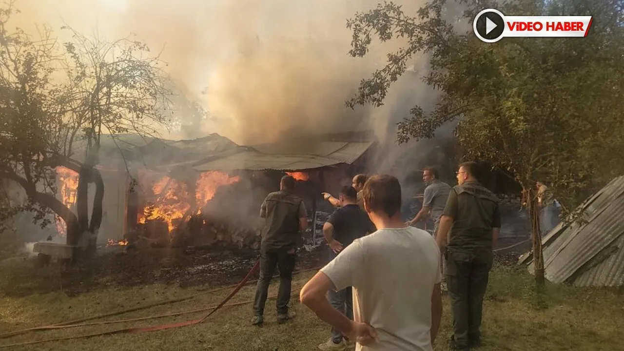 Karabük Eflani'de Samanlık Yangını Eflani'de araç lastikleri ve odunların bulunduğu samanlıkta çıkan yangın kontrol altına alındı. Karabük Eflani'de Samanlık Yangını Eflani'de araç lastikleri ve odunların bulunduğu samanlıkta çıkan yangın kontrol altına alındı.