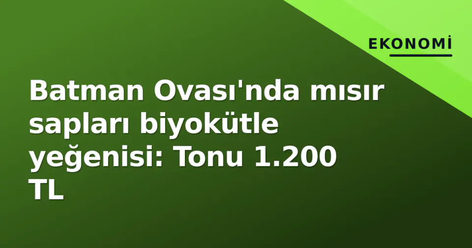 Batman Ovası'nda mısır sapları biyokütle yeğenisi: Tonu 1.200 TL görseli