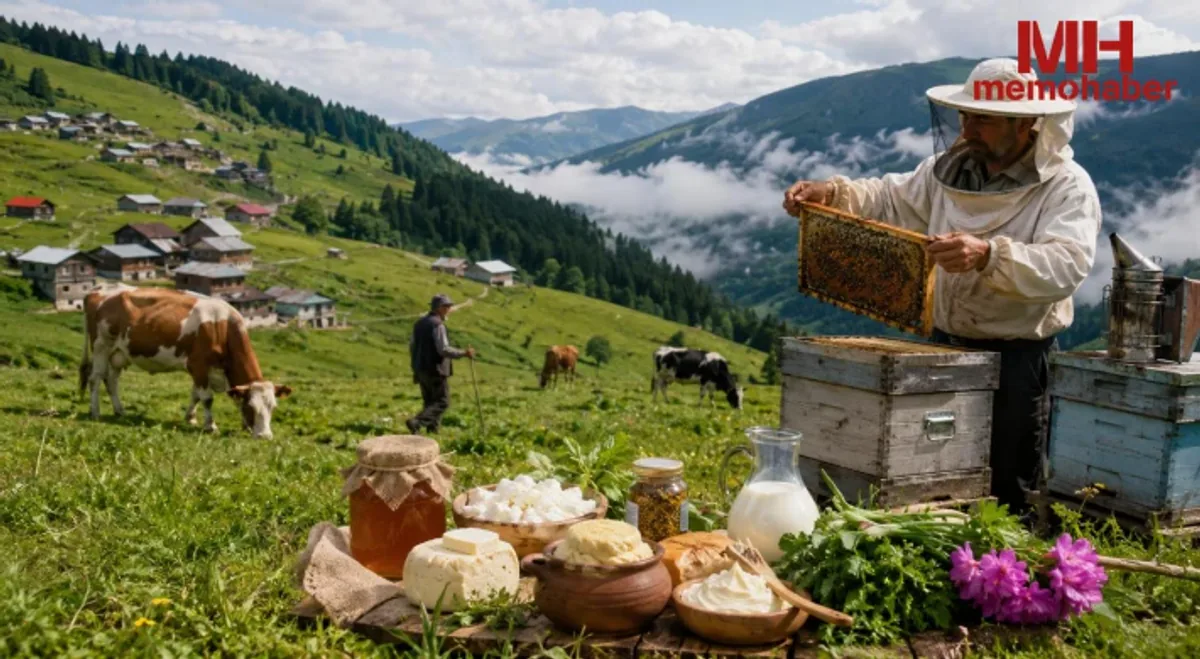 En Kaliteli Balu Nasıl Seçilir? Doğal Bal Alışverişi İçin Rehber En Kaliteli Balu Nasıl Seçilir? Doğal Bal Alışverişi İçin Rehber