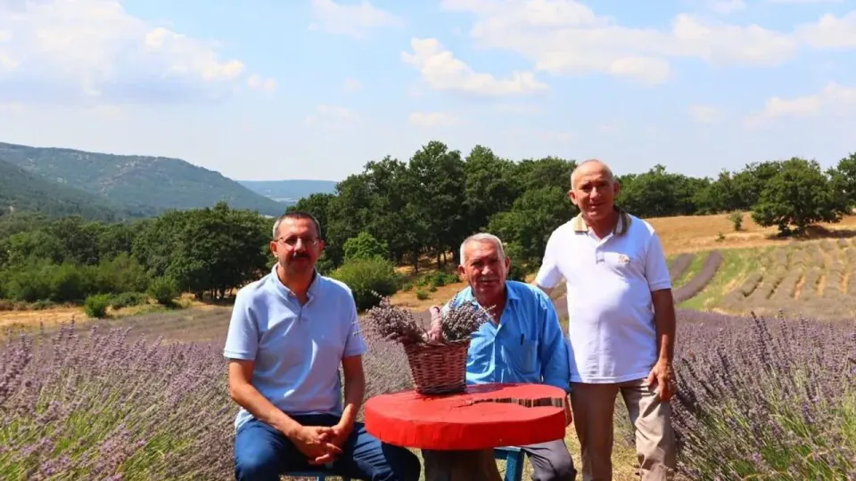 Pınarhisar'da Kırsal Kalkınma Hamlesi: Kaymakam Özderin Lavanta Bahçesini İnceledi görseli