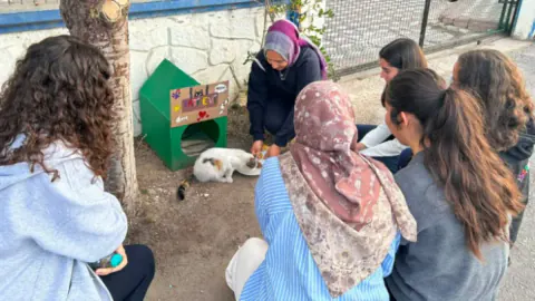 Nevşehir'de Fatıma Sultan Yurdu Öğrencileri Sokak Kedilerine Ev Yaptı: "Soğukta Yalnız Kalmasınlar"