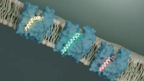 Süper Bakterilerle Mücadelede Yeni Dönem: Antibiyotik Direnci ve Keşifler