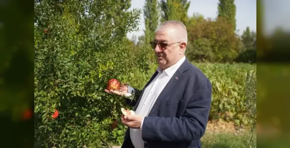 Edremit Belediyesi 137 ata tohum çeşidini koruyor, vatandaşlara ücretsiz dağıtıyor görseli