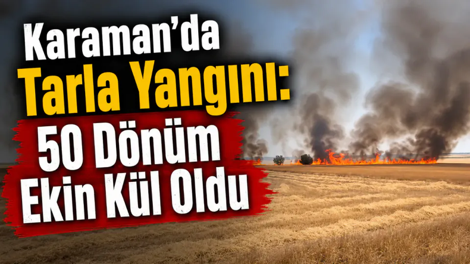 Karaman'da Tarla Yangını: 50 Dönüm Ekin Kül Oldu görseli