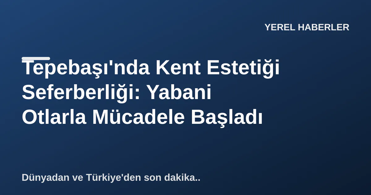 Tepebaşı'nda Kent Estetiği Seferberliği: Yabani Otlarla Mücadele Başladı Tepebaşı'nda Kent Estetiği Seferberliği: Yabani Otlarla Mücadele Başladı
