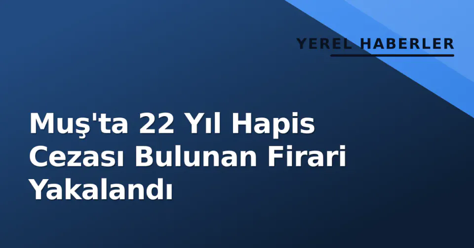 Muş'ta 22 Yıl Hapis Cezası Bulunan Firari Yakalandı görseli