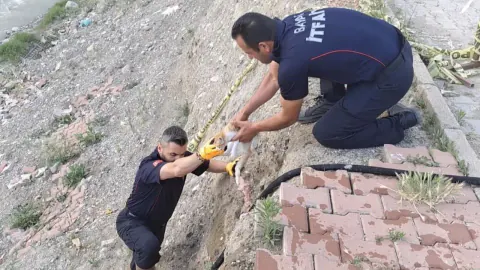 Afyonkarahisar'da can pazarı: Çaya düşen yavru kedi itfaiye ekiplerince kurtarıldı