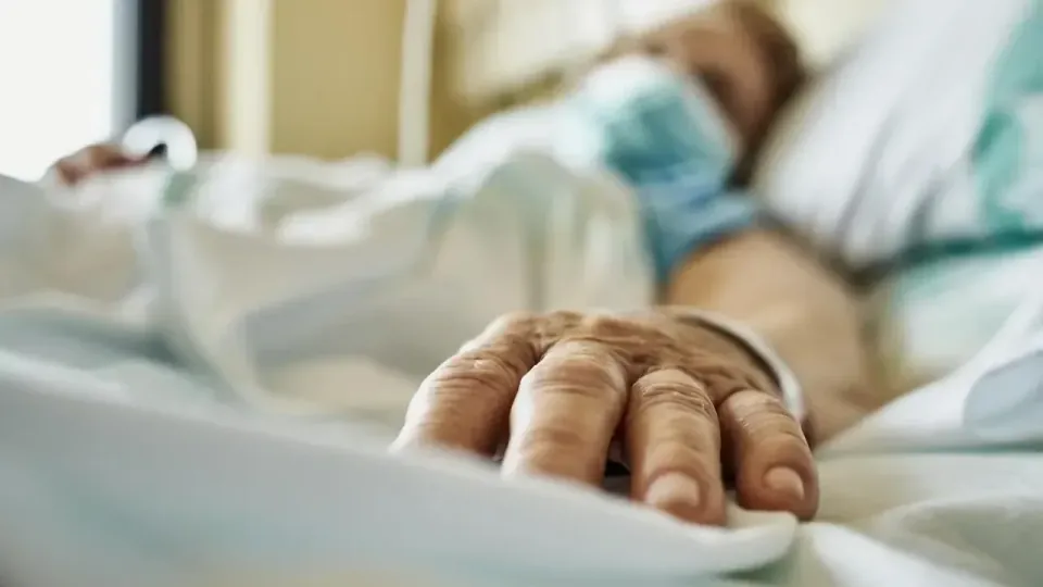 Bilecik'te Ölüm Nedenleri Belli Oldu: TÜİK Verileri Açıklandı görseli