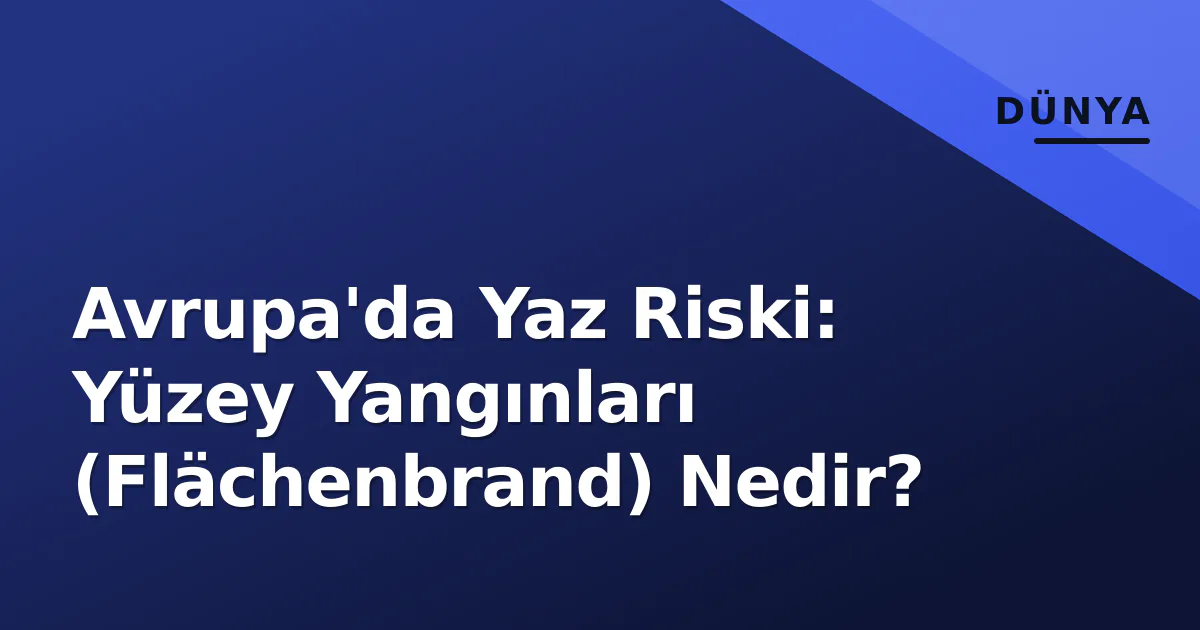 Avrupa'da Yaz Riski: Yüzey Yangınları (Flächenbrand) Nedir? Avrupa'da Yaz Riski: Yüzey Yangınları (Flächenbrand) Nedir?