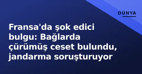 Fransa'da şok edici bulgu: Bağlarda çürümüş ceset bulundu, jandarma soruşturuyor