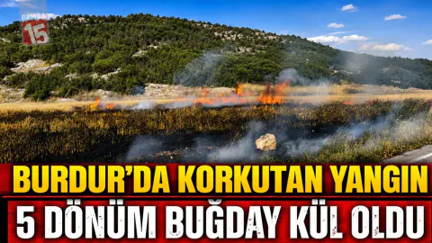 Burdur Gölhisar'da Tarla Yangını: 5 Dönüm Buğday Kül Oldu
